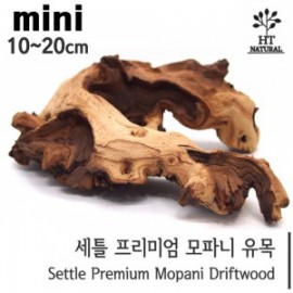 세틀 모파니 투톤유목 미니 (100pcs)