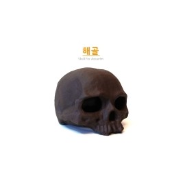 하려 해골 장식