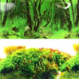 수조 백스크린 9084/9085 높이49cm*길이15m