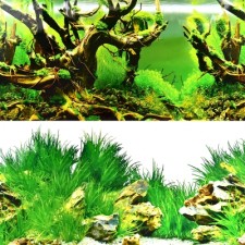 수조 백스크린 9030/9098 49cm*15m