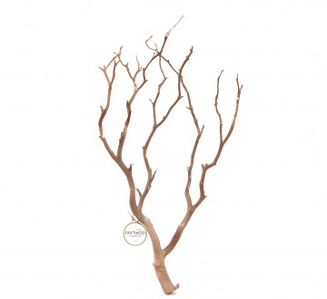 세틀 만자니타 샌딩 유목 L (박스당 12p)