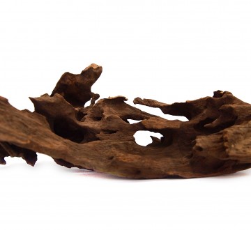 세틀 홀리 유목 10kg