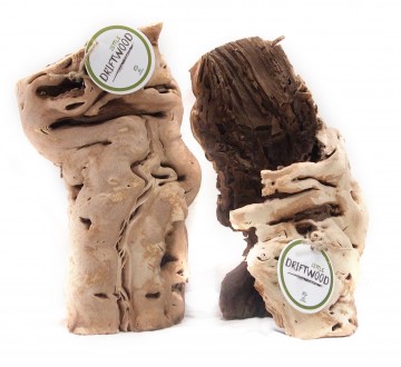 세틀 포도 베이스 유목