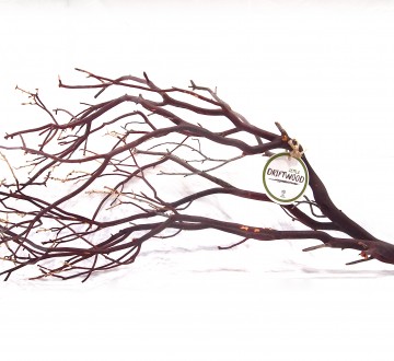 세틀 만자니타 내츄럴 유목 L (박스당 12P_