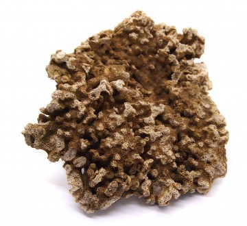 세틀 데드락 20kg (마대포장)