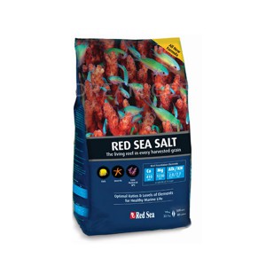 레드씨 해수염 2kg