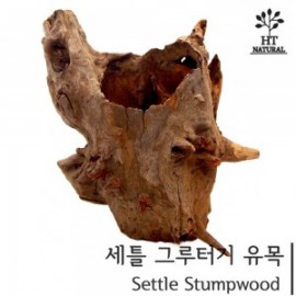 세틀 그루터키 유목 M (20P)