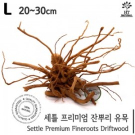 세틀 잔뿌리 유목 M (30P)