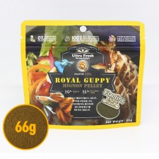 로얄 구피 사료 66g