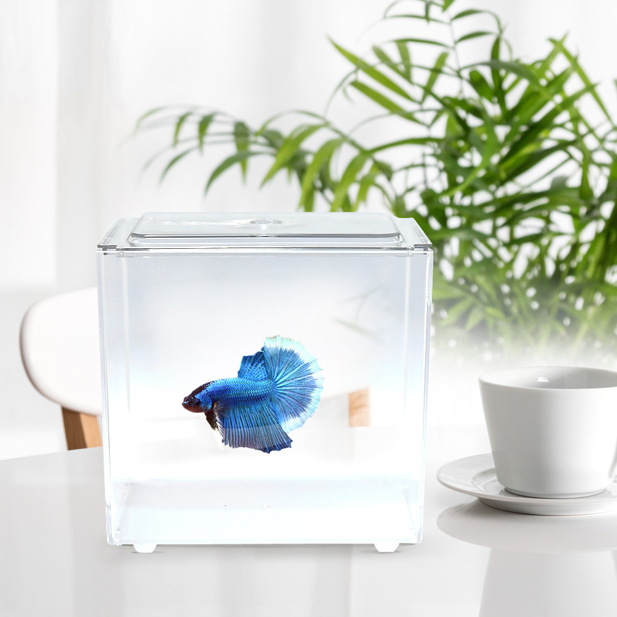 소보 베타 미니어항 M-B01