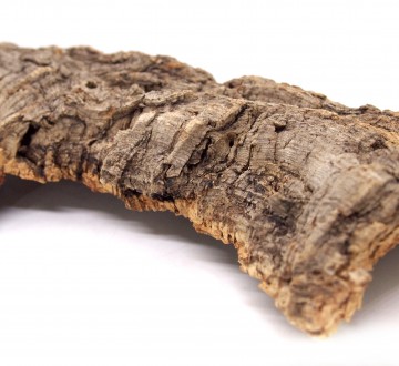 세틀 코르크바크 플렛 s