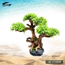 리글라스 분재유목 장식구