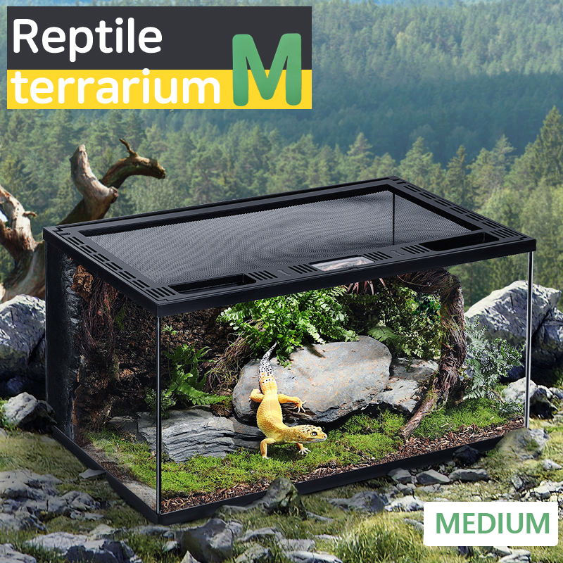 망고 파충류장 CPC-002 30*30*20cm