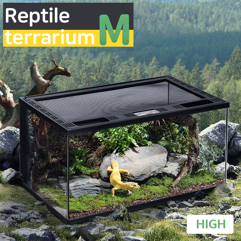 망고 파충류장 CPC-003 50*30*25cm